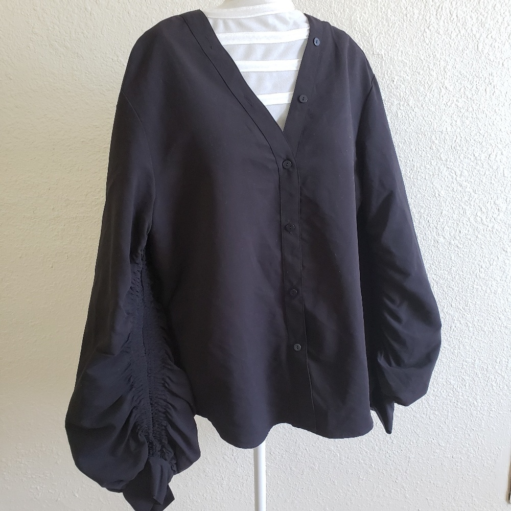 Prologue Long Blouson Sleeve V-Neck Blouse